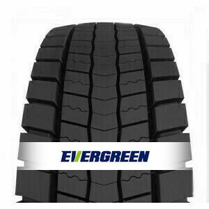 Neumático Evergreen EDR51