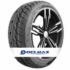 Tyre Delmax Savage S2