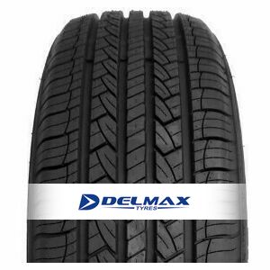 Tyre Delmax Utilitypro