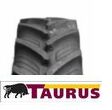 Taurus Point-8 16.9R38 141A8/138B