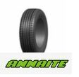 Annaite AN600 205/55 R16 91V