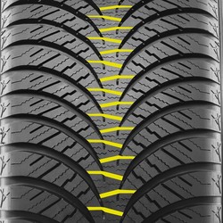 LEADING EDGE PROFILE